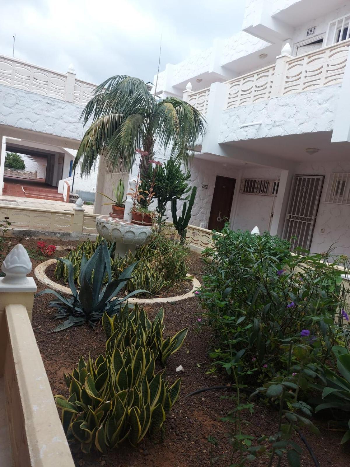 Casa Papagayo Apartment Арона Екстериор снимка