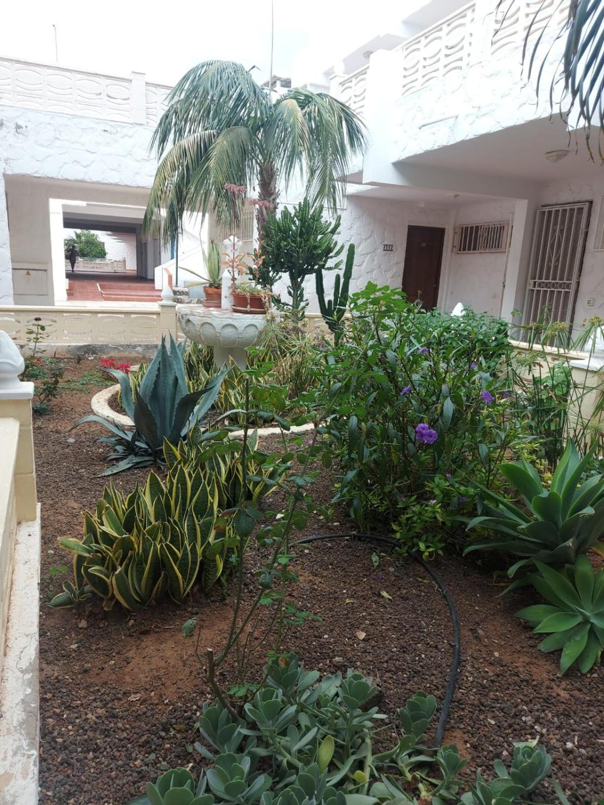 Casa Papagayo Apartment Арона Екстериор снимка